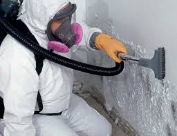 Best Mold Damage Restoration in Plymouth, CA